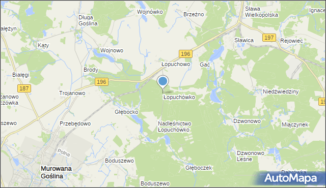 mapa Łopuchówko, Łopuchówko na mapie Targeo